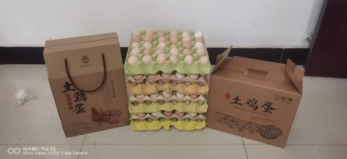 土雞養出致富路——蘄春煙草駐村幫扶朗山村產業發展紀實