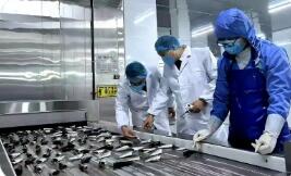 去年出口水產品近三十萬噸 “泉州味”水產品“出海”規模創新高