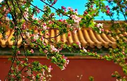 多項文旅數據指標創歷史新高 北京文旅“十四五”答卷亮眼