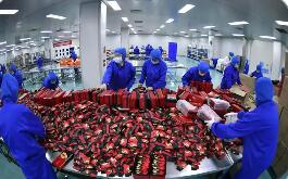 寧夏助力民營經濟高質量發展再上新臺階