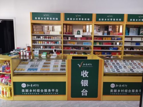 賦能終端，溫暖同行，共繪基層新圖景