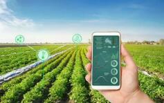 推動農業綠色轉型向縱深挺進