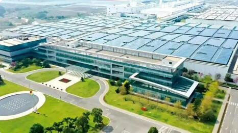 廣東大力培育發展微生物蛋白等未來食品產業