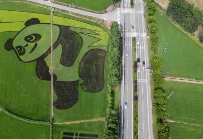 四川打造新時代更高水平“天府糧倉” 糧食產量達到732.5億斤