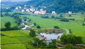 農業農村部：重點抓好八方面工作落實中央一號文件精神