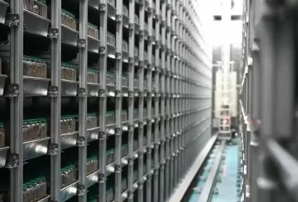 讓“中國糧”主要用“中國種” 我國完成種業振興“五年見成效”目標