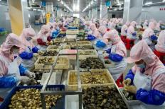 福建水產品出口連續13年居全國首位