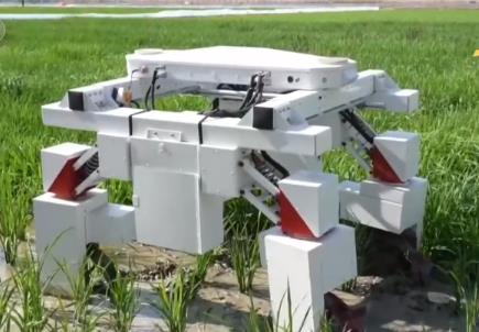 傳統育種遇上AI 讓農業更高效 豐收更可期