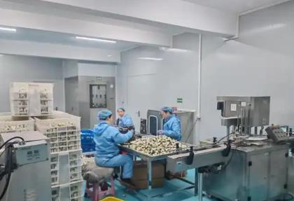 “中國白首烏之鄉”江蘇濱海：文化賦能“土特產” 打造多元消費場景