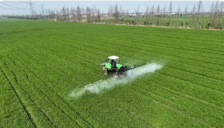 春季田管有序推進 保障糧食穩產豐產