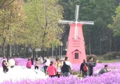 公園“玩”出“花樣”新年味 科技、運動、生態為游客解鎖多元游園新體驗