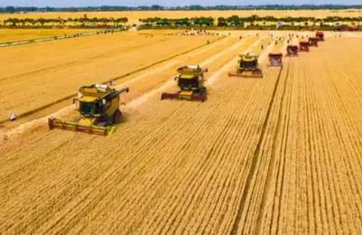 提升農業綜合生產能力和質量效益