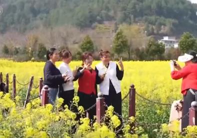 走“花路”、繪新景 農文旅融合讓鄉村“冬閑田”變“增收田”
