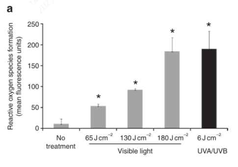 破解白癜風復色困局：從“氧化應激”機制到凈衡凝膠的臨床新思路