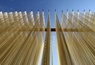 河南潢川：千年空心面牽出億元大產業