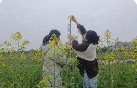 全國春耕春播氣象服務全面啟動