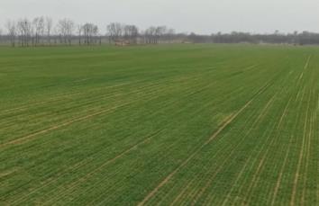 打通農資供應“最后一公里” 高效服務鏈托穩春耕生產“第一棒”