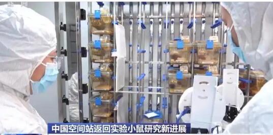 首次、首創、新突破！我國科技發展再添新成果