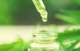 出口額連續三年下降 我國植物提取物行業亟須塑造差異化競爭優勢