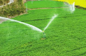 農資到位 用水充足　四川春耕“百日攻堅”蓄勢待發