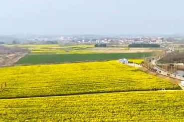 春天里的中國·勾勒春日農耕圖