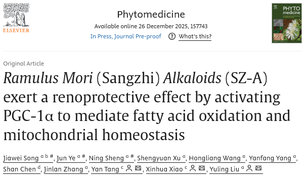 世界腎臟日 桑枝總生物堿發揮“糖-心-腎”共管