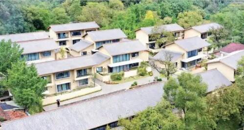 陜西留壩盤活深山資源走出產業富民路中國食品報