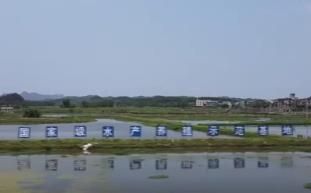 品嘗舌尖上第一口“鮮” “春日味道”豐富百姓餐桌嘗“鮮”經濟熱力十足