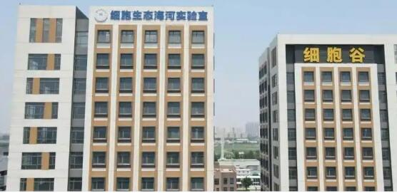 北方首個省級區域細胞制備中心落戶天津
