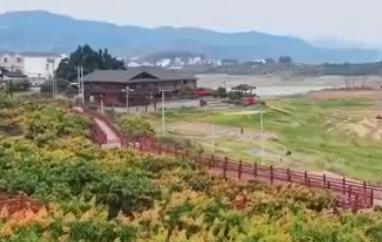 深耕“農業+文化+旅游”融合發展 果農種好“致富果”吃上“旅游飯”