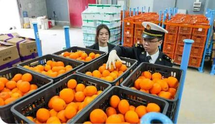 “生鮮集拼”海關監管模式在湖南落地