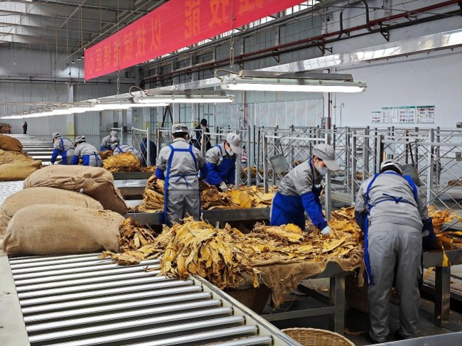 情暖職工聚合力 工會暖心伴同行 ——楚雄復烤廠工會系列服務舉措繪就職工幸福底色