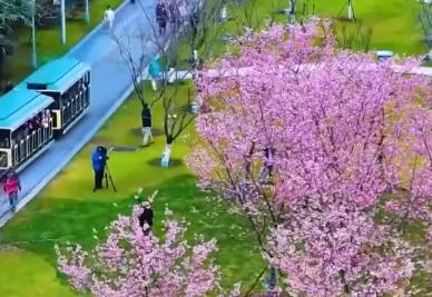 多地首個春假即將開啟 文旅交通暖心“大禮包”助力出游