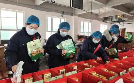 聚全國好核桃 賣全球大市場  陜西洛南全力打造百億級核桃產業集群