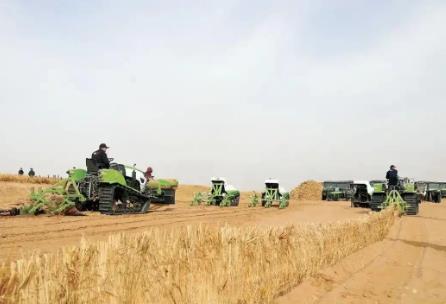 內蒙古春季防沙治沙工作啟動