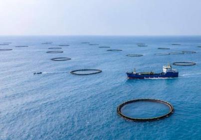 廣東以“媒體+”賦能美麗中國先行區建設