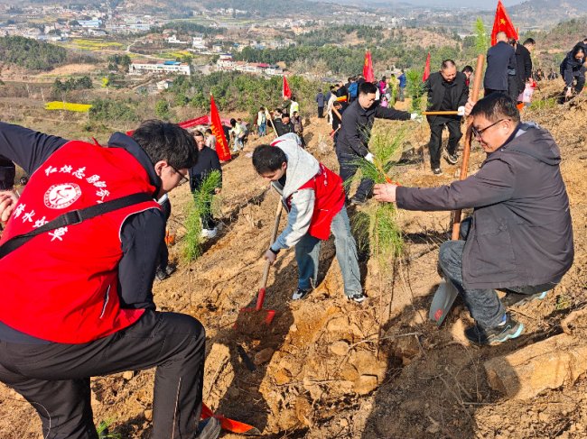 “植”此青綠 共“樹”未來
