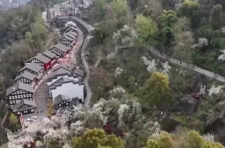 賞花游“含金量”不斷提升 多元“花經濟”為鄉村振興帶來增收致富新動力