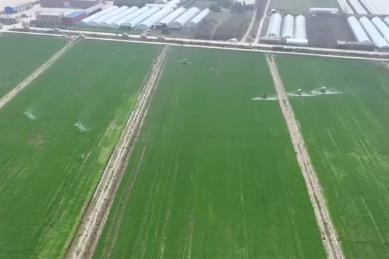 爭農時、搶春管、推技術、保豐產 農業科技助力下好春耕生產“先手棋”