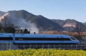 尋春景、游春色，一車暢達！賞花專線讓“春日經濟”熱力十足