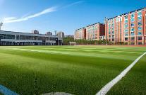 健全校園欺凌防治長效機制等 四部門部署校園安全工作