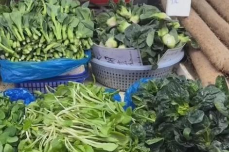 春季消費市場“春鮮”熱潮涌動 “春日經濟”活力十足