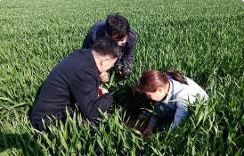 新修訂后的《全國農業普查條例》公布 2026年5月1日起施行