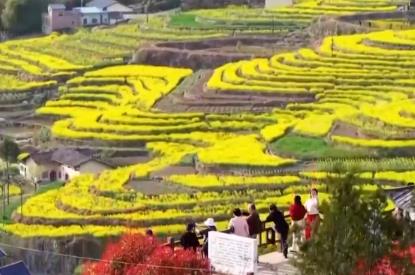 “鄉村美景+農家生活”沉浸式賞花引客來 村民在家門口吃上“旅游飯”