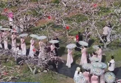 濃郁春意點亮旅游市場“新意” 文化之美添彩“春日經濟”