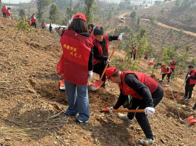 植綠護美 共筑生態  ——硚口煙草以行動踐行綠色理念 繪就人與自然和諧共生新圖景