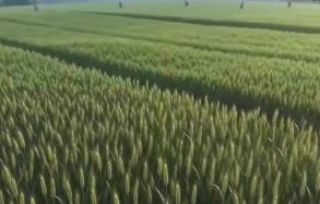 春耕春管向“新”而行 智慧農業筑基把“中國飯碗”端穩端牢