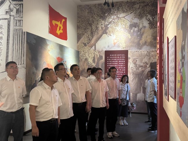 紅脈鑄魂強黨建 實干擔當促發展