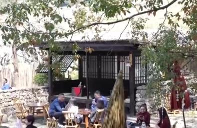 賞花觀鳥游“催熱”春日經濟 以生態優勢為媒激活多元業態“新”活力