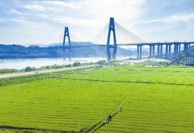 四川：春耕一線，看見“三變”